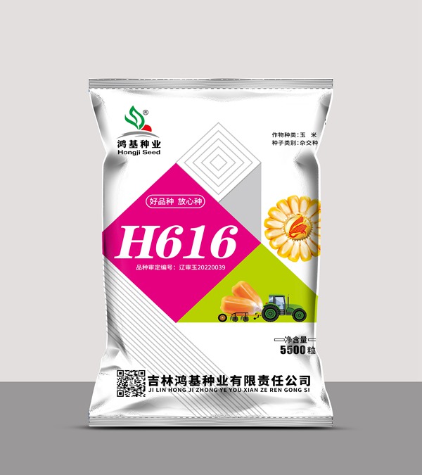  H616